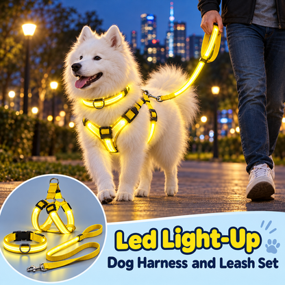 LED Light-Up Dog Harness and Leash Set