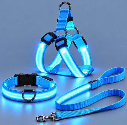 LED Light-Up Dog Harness and Leash Set