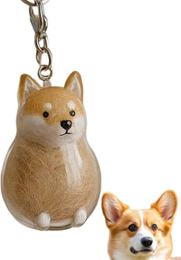 Corgi