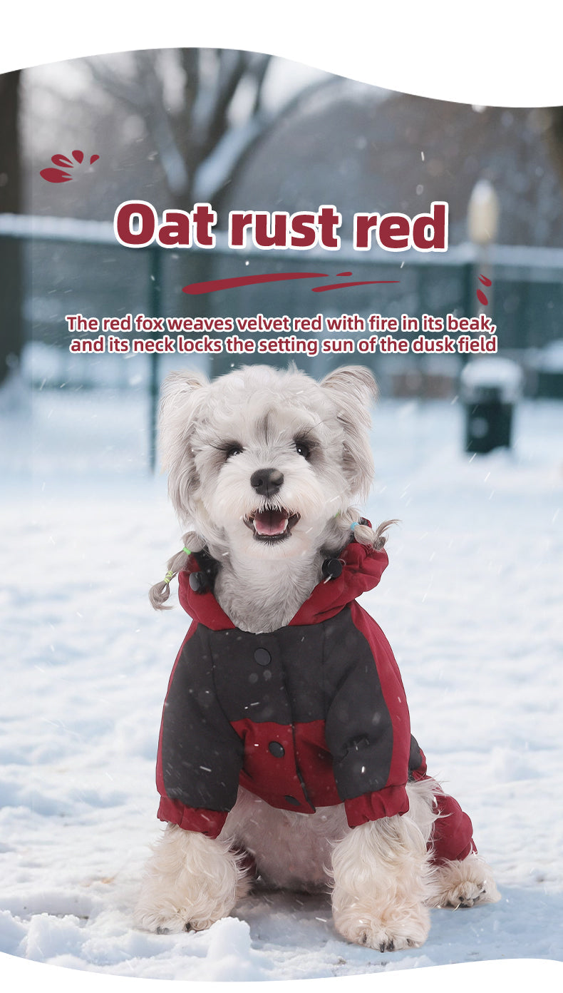 Dog Winter Snowsuit — Graphene Thermal Lining, Full Four-Leg Coverage, Hooded, Water-Resistant