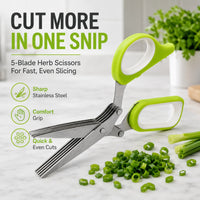 1 Pack [Includes protective cover + brush]