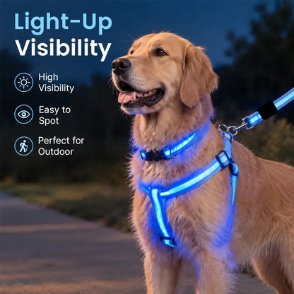 LED Light-Up Dog Harness and Leash Set
