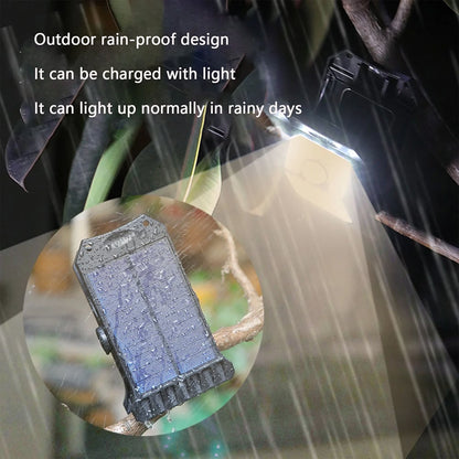 Outdoor solar garden lights and motion-activated lights 🌟