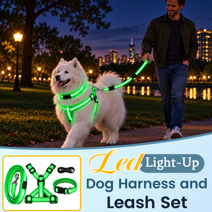 LED Light-Up Dog Harness and Leash Set