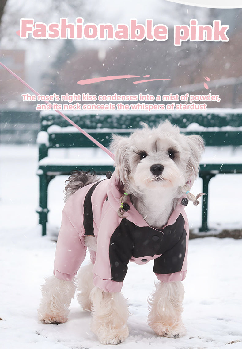 Small dog wearing a pink and black four-legged winter snowsuit in the snow