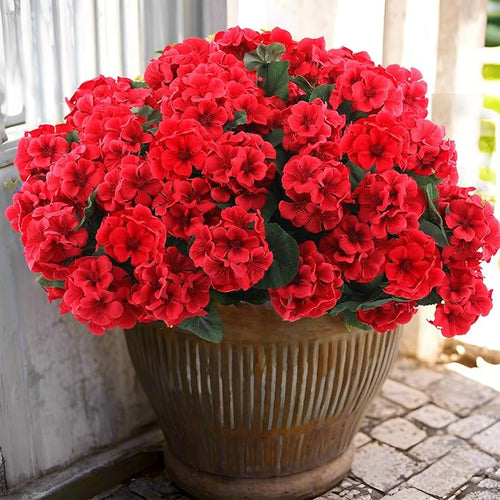 🎁 Mother’s Day 60% OFF - Artificial Geranium Flowers For Outdoors