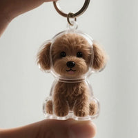 Teddy