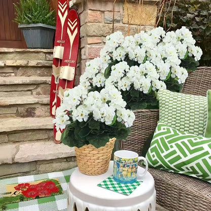 🎁 Mother’s Day 60% OFF - Artificial Geranium Flowers For Outdoors